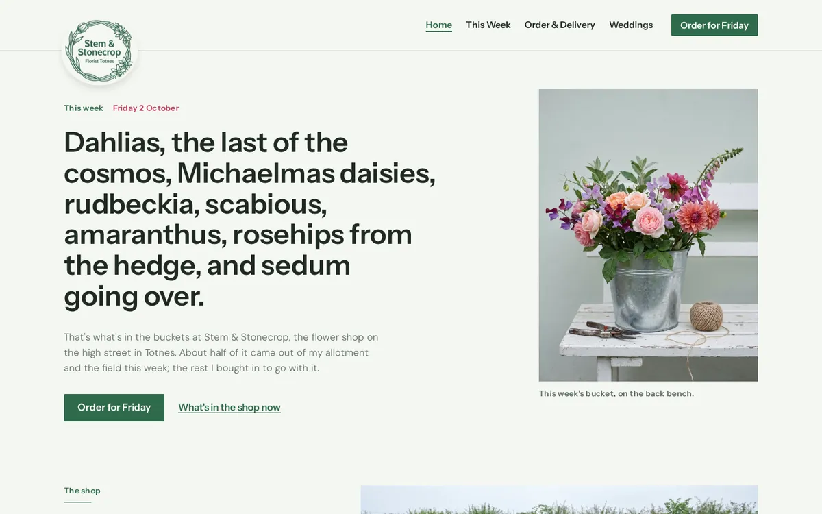 Stem & Stonecrop home page: this week's dahlias and cosmos in a green serif headline beside a bucket of flowers