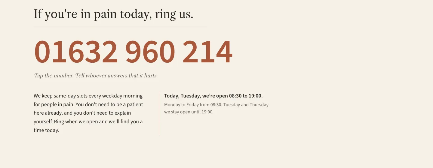 The example’s in-pain page, with a large phone number and a note that same-day slots are kept on weekday mornings.