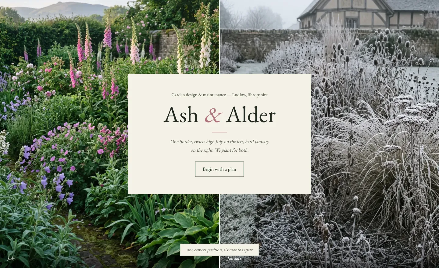Ash and Alder, an example build for a fictional garden-care business in Ludlow. The same border in July, in flower, and in January, under hoar frost.