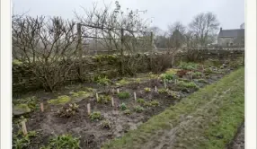 March of year one on the fictional Field Notes border in a Stroud valley: bare soil, cut stems, and the first bulbs.