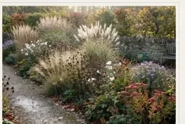 October on the same border: low sun behind Miscanthus and Molinia along a path.
